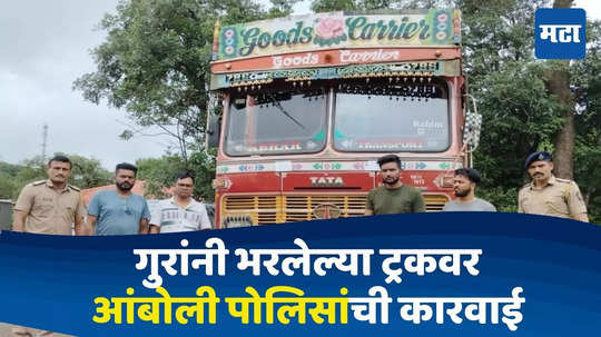 Sindhudurg News : गुरांनी भरलेला ट्रक कर्नाटकात निघालेला, आंबोलीत वाहन अडवलं; तपासात धक्कादायक सत्य समोर