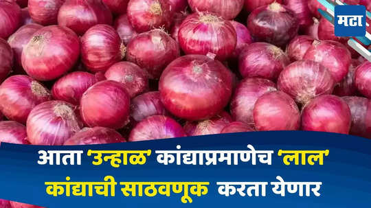 Onion New Variety : 'उन्हाळी' कांद्यासारखी 'लाल' कांद्याची सुद्धा साठवण करता येणार, लाल कांद्याचा नवीन 'वाण' बाजारात येणार