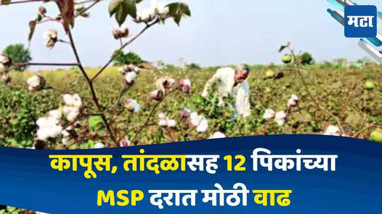 Crop MSP Rate Increase : मोदी सरकारची शेतकऱ्यांसाठी मोठी घोषणा, 14 पिकांच्या एमएसपी दरात केली मोठी वाढ