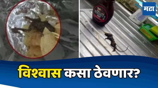 Frog In Chips: अरे चाललंय काय? आधी आईस्क्रीममध्ये बोट, चॉकलेट सिरपमध्ये उंदीर, आता वेफर्समध्ये मेलेला बेडूक