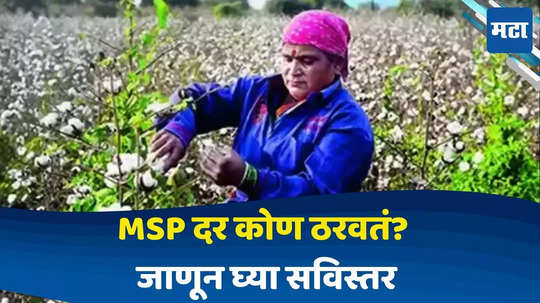 What Is MSP : केंद्र सरकारने 14 पिकांच्या MSP दरात केली वाढ,  MSP म्हणजे काय?  MSP कसा ठरवला जातो? जाणून घ्या सविस्तर