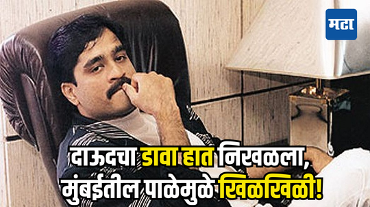 Dawood Ibrahimचा 'डावा हात' निखळला? छोटा शकीलच्या मेहुण्याच्या मृत्यूनंतर अंडरवर्ल्डमध्ये काय होणार?