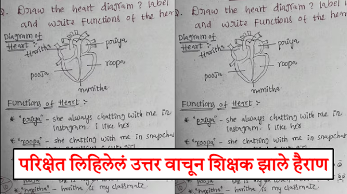 हृदयाची रचना कशी असते? विद्यार्थ्याचं उत्तर वाचून शिक्षणमंत्र्यांना सुद्धा येईल चक्कर, पाहून आवरणार नाही हसू