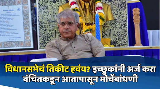 लोकसभेची हार जिव्हारी, वंचित विधानसभेसाठी अॅक्शन मोडमध्ये; इच्छुकांचे अर्ज स्वीकारण्यास सुरुवात