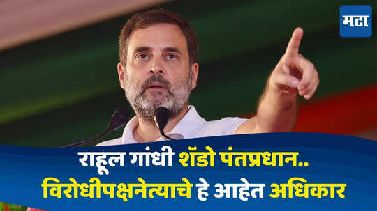 Rahul Gandhi : राहूल गांधींची पॉवर वाढली..कॅबिनेट मंत्र्याच्या दर्जाचे हे आहेत विरोधीपक्ष नेत्याचे अधिकार