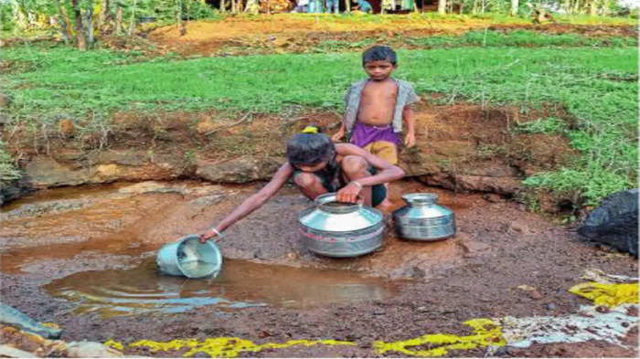 डबक्यातील पाणी भागवते तहान