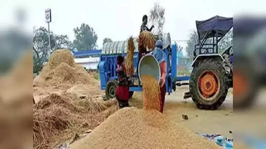 Bhandara Grain Scam:दोन वर्षांत ४० कोटींचा धान घोटाळा; भंडाऱ्यात ११ संस्थांवर गुन्हे दाखल, सहा जणांना अटक