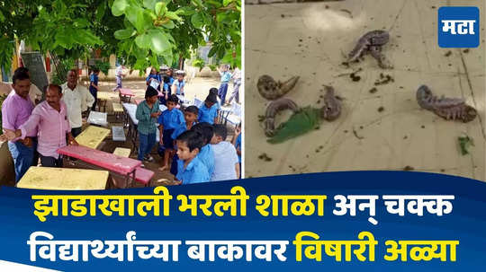 ZP School: जि.प.शाळेची दयनीय अवस्था, झाडाखाली शाळा पण अडचणी संपेना, विद्यार्थ्यांच्या बेंचवर विषारी अळ्या