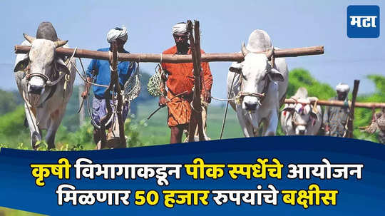 Agriculture News: कृषी विभागाकडून पीक स्पर्धेचे आयोजन, विजेत्या शेतकऱ्याला मिळणार 50 रुपयांचे  बक्षीस, अर्ज कसा कराल ?