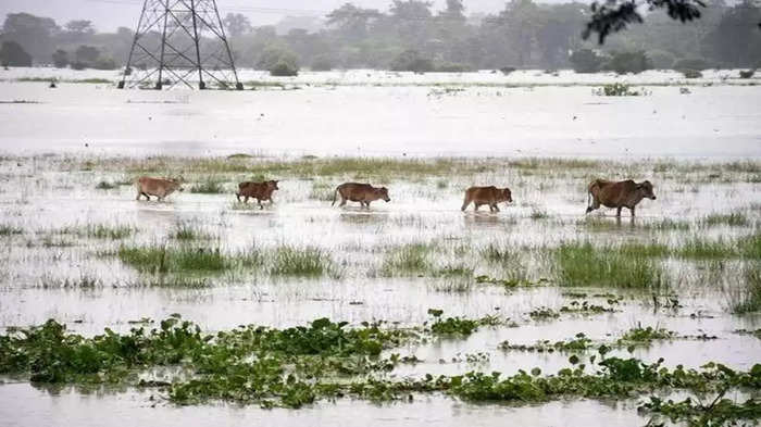 प्राणिमात्र झाले दु:खी