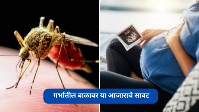 गर्भातील बाळावर आजाराचे सावट, महिलांना आता Zika Virus चा धोका, लक्षणे कशी ओळखाल?