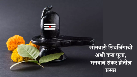 Shivling Puja In Marathi : भोलेनाथ होतील प्रसन्न, शिवलिंगाची अशी करा पूजा ! सर्वात आधी शिवलिंगावर काय अर्पण करावे?