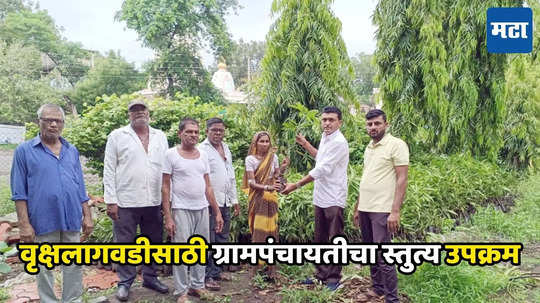 Nandurbar News: ५ वृक्षांची लागवड करून संगोपन करा, घरपट्टीसह नळपट्टीतून सूट मिळवा, या ग्रामपंचायतीचा प्रेरणादायी उपक्रम