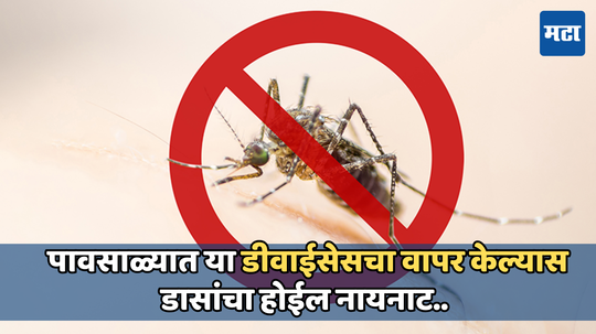 Mosquito Killer: पावसाळ्यात तुम्हाला होतोय डासांचा त्रास, आजच खरेदी करा स्वस्त डिवाइस जे तुमच्या घराला करेल मॉस्किटो फ्री