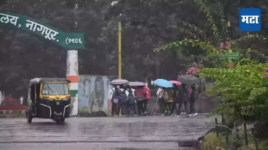 Rain Update : विदर्भाला ऑरेंज अलर्ट, काही जिल्ह्यात अतिवृष्टीचा इशारा; आठवडाभर कशी असेल पावसाची स्थिती?