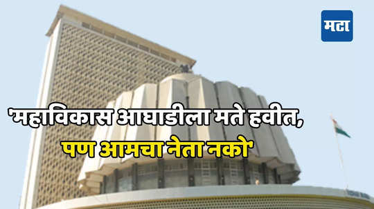 Assembly Elections: लोकसभेला एक जागा लढविण्यावरून मोठा वाद झाला होता, आता विधानसभेला १२ जागांची तयारी; उमेदवारांची चाचपणी सुरू