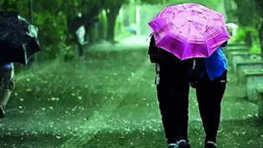 Maharashtra Rain News: राज्यात आजही मुसळधार, पुढील १२ तास धो-धो बरसणार, या जिल्ह्यांना हायअलर्ट, वाचा Weather Report