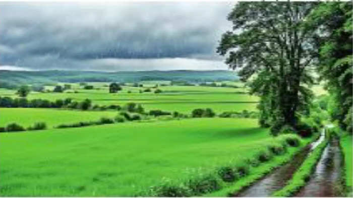 Nashik Rain