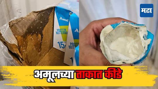 Amul Buttermilk: अमूलचं ताक पिता? मग हा VIDEO पाहाच! कंपनीनं मागितली जाहीर माफी, टेट्रा पॅकमध्ये काय सापडलं?