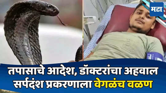 Fatehpur Snake Attack: ४० दिवसांत ७ वेळा सर्पदंश! तरुणाची अख्ख्या देशात चर्चा; डॉक्टरांच्या अहवालानं नवा ट्विस्ट