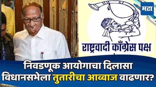 Sharad Pawar: विधानसभेला नो कन्फ्युजन, निवडणूक आयोगानं दूर केलं पवारांचं टेन्शन; निवडणुकीआधी मोठा बूस्टर