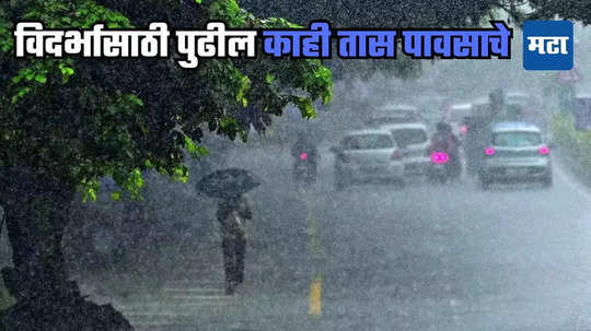 Vidarbh Rain Update: विदर्भात हाय अलर्ट! विजांच्या कडकडाटासह जोरदार पाऊस, IMD चा इशारा