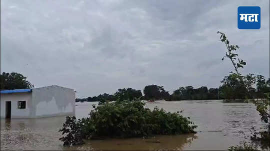 Vidarbha Rain: विदर्भात पावसाची संततधार; 'या' जिल्ह्यातील शाळांना सुट्टी जाहीर, अनेक गावांना पुराचा वेढा