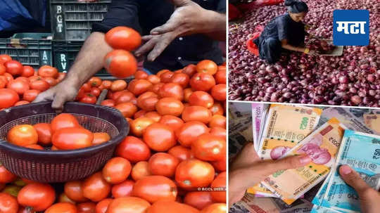 Onion Tomato Price : मागील दोन वर्षात कांदा, टोमॅटो, डाळींचे भाव का वाढले? सर्व्हेतून मोठं कारण समोर