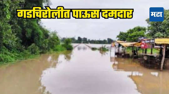 Gadchiroli Rain: गडचिरोलीत पावसाचा हाहाकार; ११ मार्गांवरील वाहतूक ठप्प, शंभराहून अधिक गावांचा संपर्क तुटला