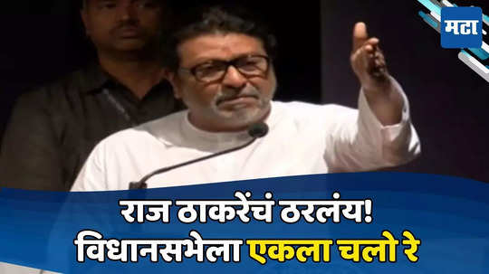 Raj Thackeray: विधानसभेला २२५-२५० जागा लढणार, सत्तेत जाणार; राज ठाकरेंची घोषणा; काही जण हसणार याची खात्री