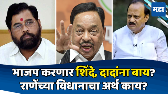 Narayan Rane: भाजपनं सगळ्या २८८ जागांवर...; नारायण राणेंच्या विधानानं वाढवलं शिंदेसेना, दादा गटाचं टेन्शन