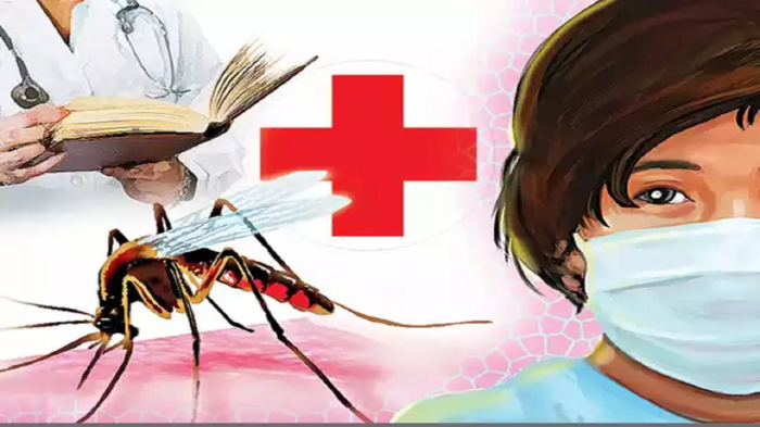 Dengue chikungunya patients increased in maharashtra