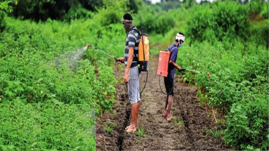 कीटकनाशकांमुळे कर्करोगांचा धोका