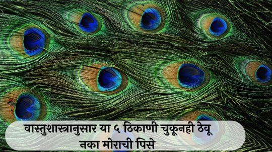 Morpankh Vastu Tips : वास्तुशास्त्रानुसार या ५ ठिकाणी चुकूनही ठेवू नका मोराची पिसे, पैशांची तिजोरी राहिल कायम रिकामी