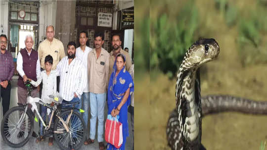 Nagpur Snake Bite : माझी ताई कुठेय? झोपेत भावंडांना सर्पदंश, मुंगी चावली समजून बहीण झोपली, भावाच्या दुःखावर सर्पमित्रांची फुंकर