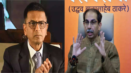 Shiv Sena Verdict : ठाकरे गटाच्या वकिलांची एक विनंती, सरन्यायाधीश चिडले, एक दिवस माझ्या जागी बसा, जीव मुठीत घेऊन पळाल