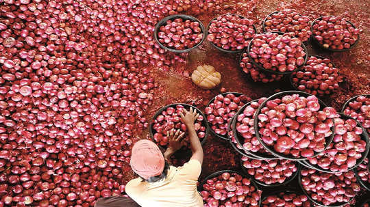 Bangladesh Onion Export: बांगलादेशातील कांदा निर्यात सुरळीत; अडकून पडलेले नाशिकचे ७० ट्रक रवाना