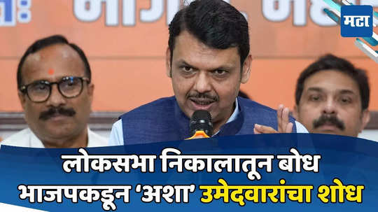 Maharashtra Politics: विधानसभेला तिकीट कोणाला? भाजपाच फॉर्म्युला ठरला, लोकसभेतून धडा; बऱ्याच आमदारांना नारळ?