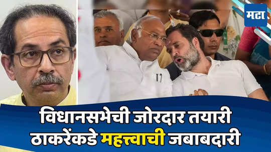 Uddhav Thackeray: CMपदाबद्दल निर्णय नाही, पण काँग्रेसकडून ठाकरेंना महत्त्वाचा प्रस्ताव; मोठी जबाबदारी दिली