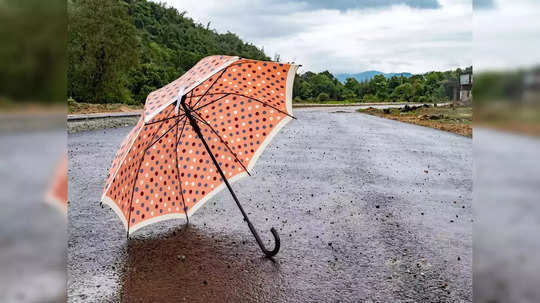 Weather forecast : पावसाची ओढ, उकाड्यात वाढ, महाराष्ट्राची काहिली; पुढील दोन आठवड्यासाठी IMD चा हवामान अंदाज काय?