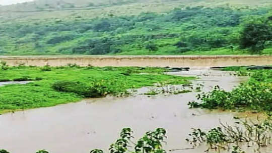 Marathwada Rain: मराठवाड्यात रिमझिम पावसाच्या सरी; दीर्घ खंडानंतर मध्यम सरी कोसळल्या