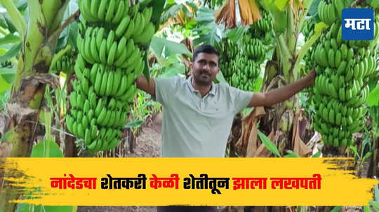 success story : अर्धापूरची केळी साता समुद्रापार; शेतकऱ्याला मिळाले लाखो रुपयांचे उत्पन्न