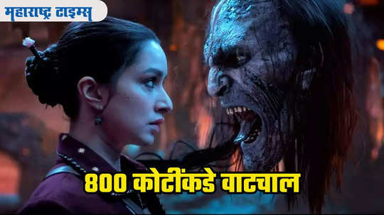 Stree 2 ने कमाईत ॲनिमल आणि गदर २ लाही टाकलं मागे, १६ व्या दिवशी सिनेमाने किती कमावले?