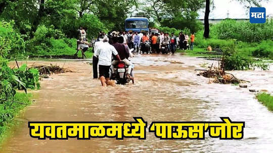 Yavatmal Rains : यवतमाळमध्ये पावसाचे धुमशान; ५७ मंडळांत अतिवृष्टीची नोंद, पैनगंगा काठोकाठ भरली, अनेक गावं पाण्याखाली