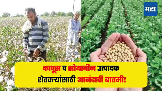 kharif season : कापूस व सोयाबीन उत्पादक शेतकऱ्यांसाठी खुशखबर! खरीप हंगामातील अर्थ  सहाय्याचे वाटप होणार