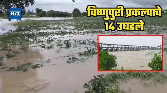 सलग दुसऱ्या दिवशी अतिवृष्टी; २ लाख हेक्टरपेक्षा अधिक क्षेत्राला फटका, २५ जनावरे मृत्युमुखी