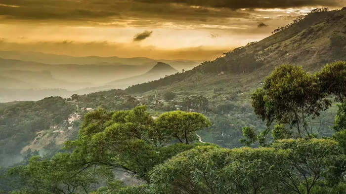 western ghat