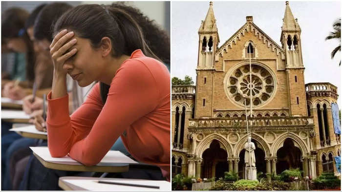 mumbai university pet exam 2024