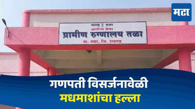 वाजत - गाजत मिरवणूक निघालेली, अचानक मधमाशांचा हल्ला; विसर्जनावेळी भाविकांना दंश