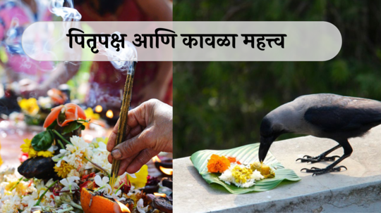 Pitru Paksha 2024: यम, कावळा आणि पिंडस्पर्शाचा संबंध काय? जाणून घ्या पितृपक्षाबद्दल काही रंजक गोष्टी